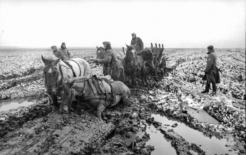 German horse team struggling through deep mud near Kursk
