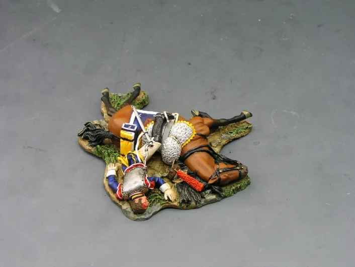 NA120 Dead Cuirassier